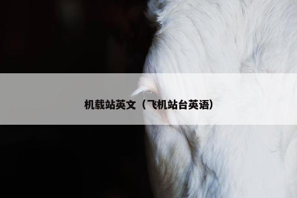 机载站英文（飞机站台英语）
