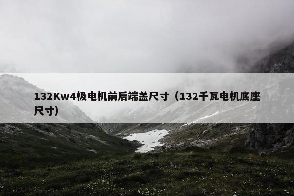 132Kw4极电机前后端盖尺寸（132千瓦电机底座尺寸）
