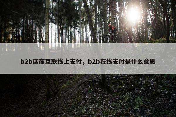 b2b店商互联线上支付，b2b在线支付是什么意思