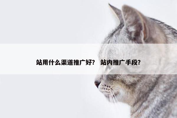 站用什么渠道推广好？ 站内推广手段？