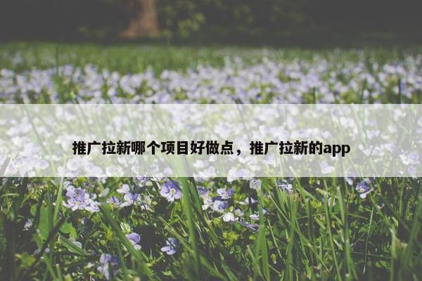 推广拉新哪个项目好做点，推广拉新的app