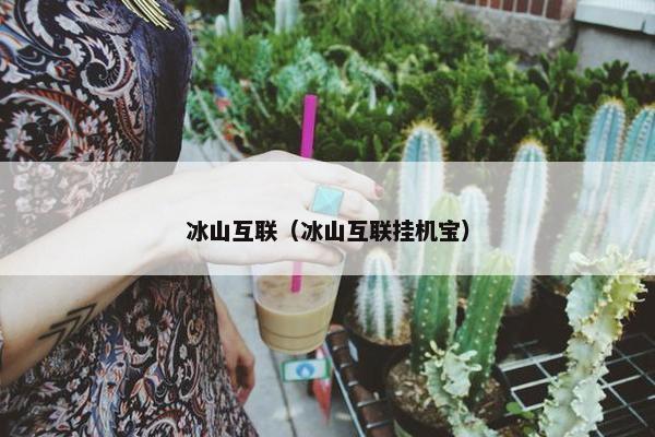 冰山互联（冰山互联挂机宝）
