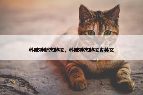 科威特新杰赫拉，科威特杰赫拉省英文