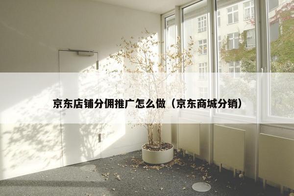 京东店铺分佣推广怎么做（京东商城分销）