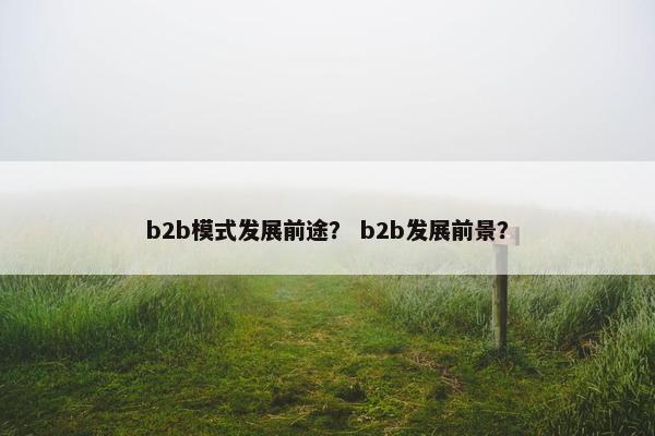 b2b模式发展前途？ b2b发展前景？