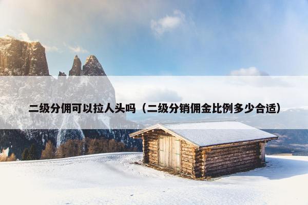 二级分佣可以拉人头吗（二级分销佣金比例多少合适）