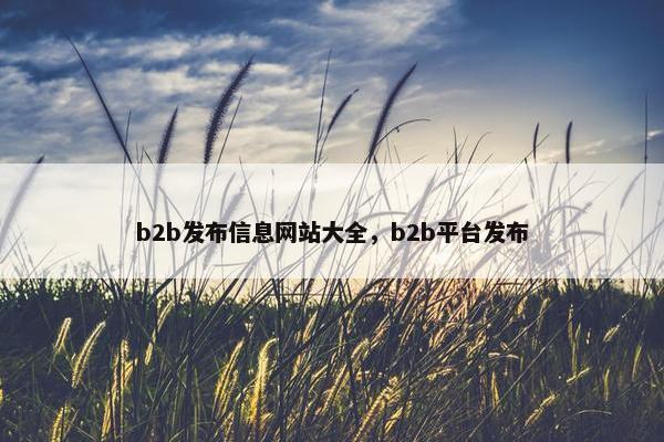 b2b发布信息网站大全，b2b平台发布