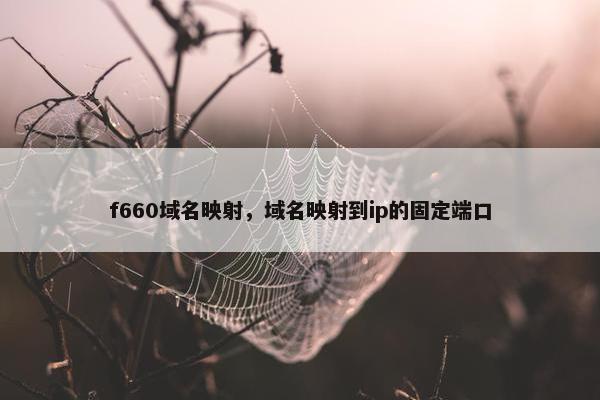 f660域名映射，域名映射到ip的固定端口