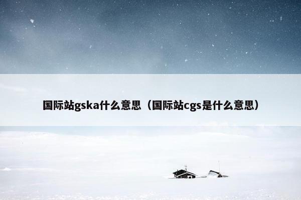国际站gska什么意思（国际站cgs是什么意思）