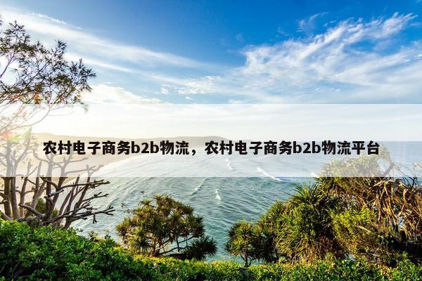 农村电子商务b2b物流，农村电子商务b2b物流平台