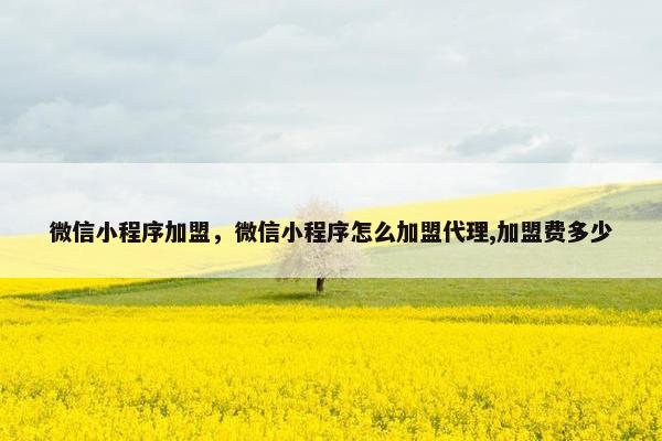 微信小程序加盟，微信小程序怎么加盟代理,加盟费多少