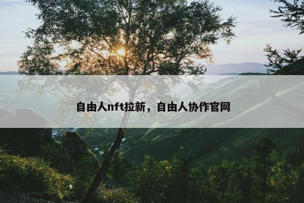 自由人nft拉新，自由人协作官网