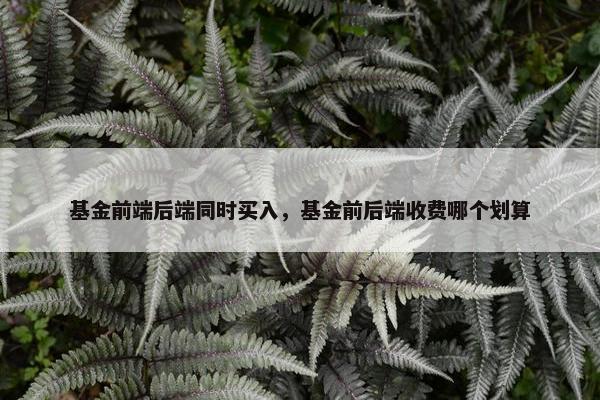 基金前端后端同时买入，基金前后端收费哪个划算