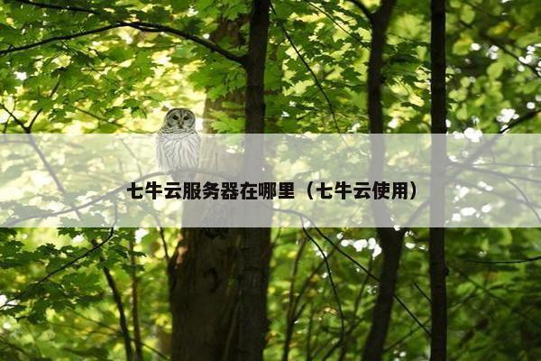 七牛云服务器在哪里（七牛云使用）