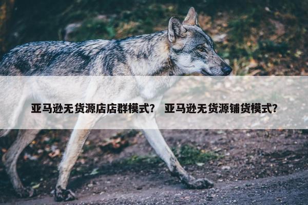 亚马逊无货源店店群模式？ 亚马逊无货源铺货模式？