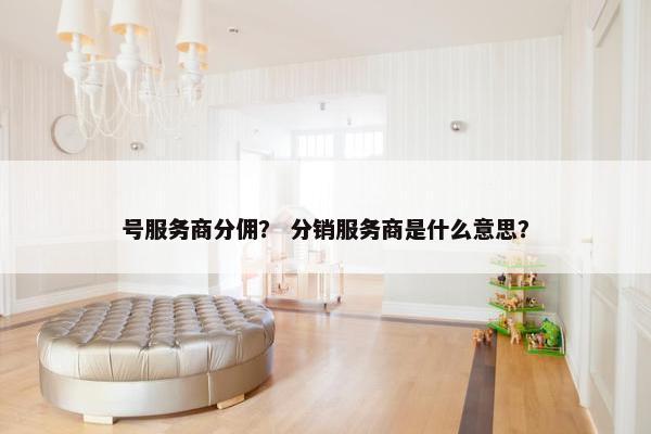 号服务商分佣？ 分销服务商是什么意思？