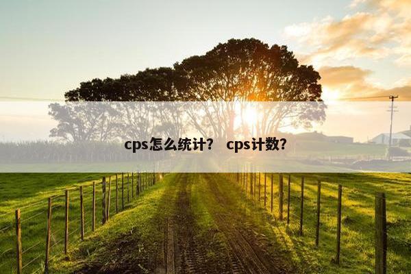 cps怎么统计？ cps计数？