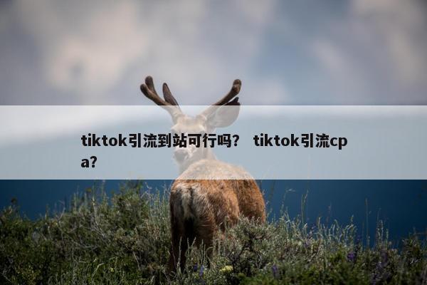tiktok引流到站可行吗？ tiktok引流cpa？