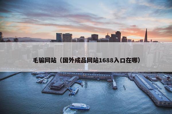 毛骗网站（国外成品网站1688入口在哪）