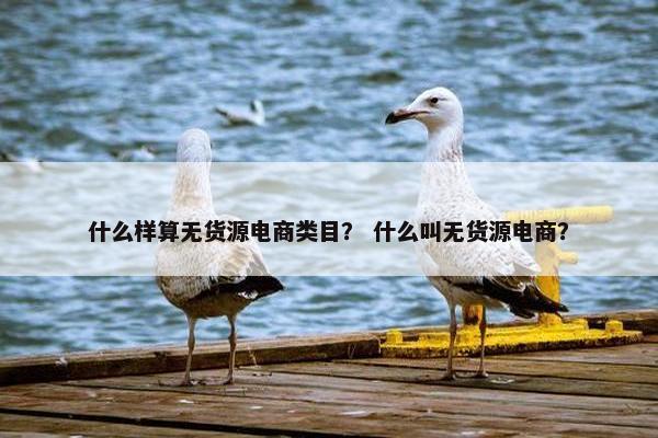 什么样算无货源电商类目？ 什么叫无货源电商？