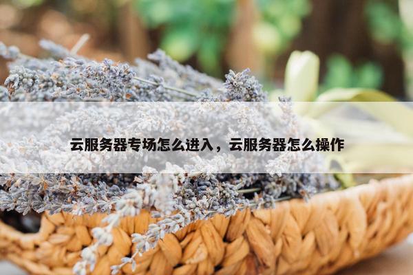 云服务器专场怎么进入，云服务器怎么操作