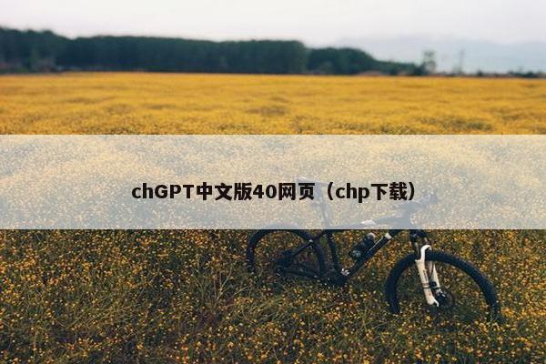 chGPT中文版40网页（chp下载）