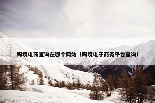 跨境电商查询在哪个网站（跨境电子商务平台查询）