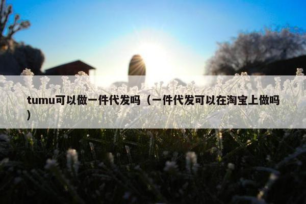 tumu可以做一件代发吗（一件代发可以在淘宝上做吗）