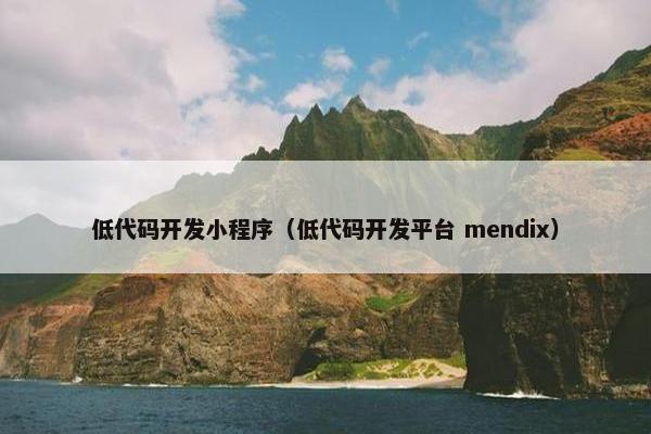 低代码开发小程序（低代码开发平台 mendix）
