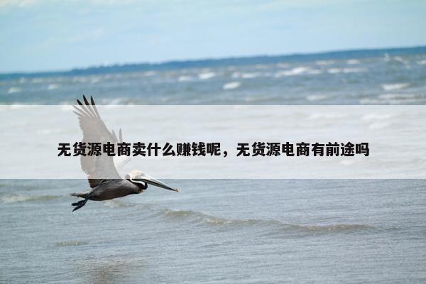 无货源电商卖什么赚钱呢，无货源电商有前途吗