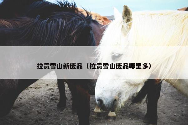 拉贡雪山新废品（拉贡雪山废品哪里多）