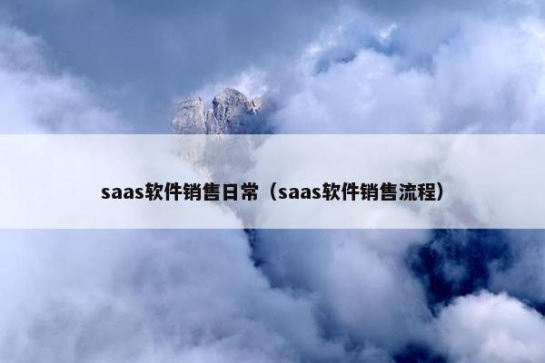 saas软件销售日常（saas软件销售流程）