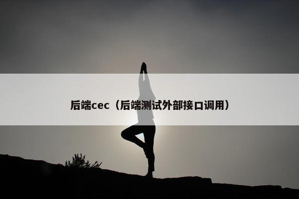 后端cec（后端测试外部接口调用）