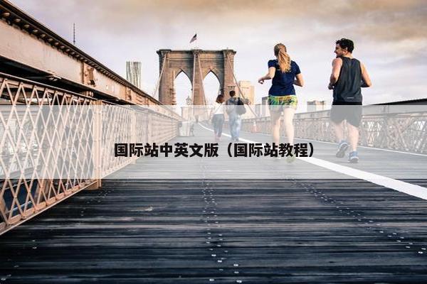 国际站中英文版（国际站教程）