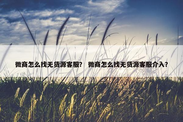 微商怎么找无货源客服？ 微商怎么找无货源客服介入？