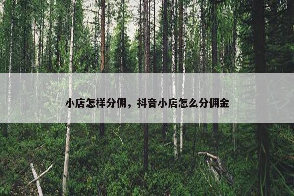 小店怎样分佣，抖音小店怎么分佣金