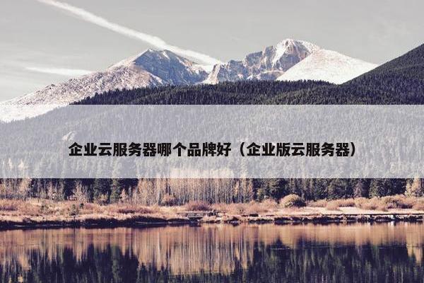企业云服务器哪个品牌好（企业版云服务器）