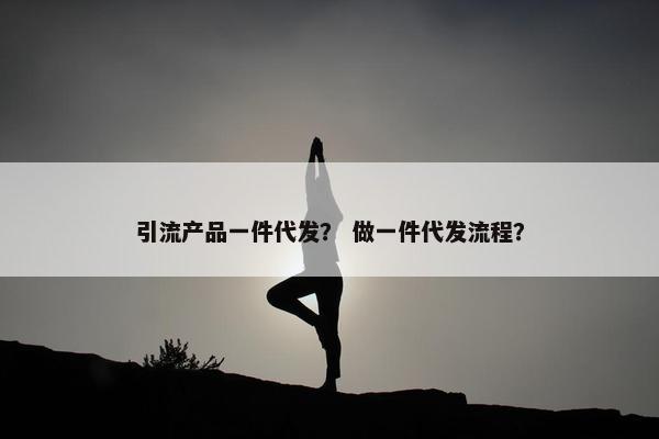 引流产品一件代发？ 做一件代发流程？
