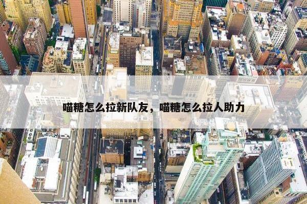 喵糖怎么拉新队友，喵糖怎么拉人助力