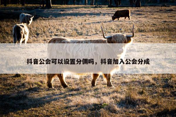 抖音公会可以设置分佣吗，抖音加入公会分成