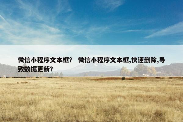 微信小程序文本框？ 微信小程序文本框,快速删除,导致数据更新？