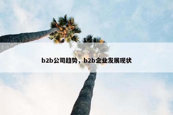 b2b公司趋势，b2b企业发展现状