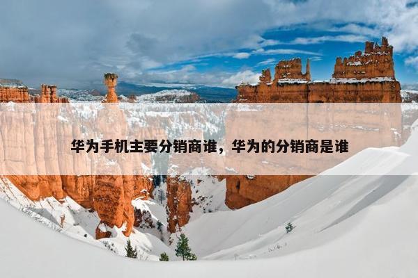 华为手机主要分销商谁，华为的分销商是谁