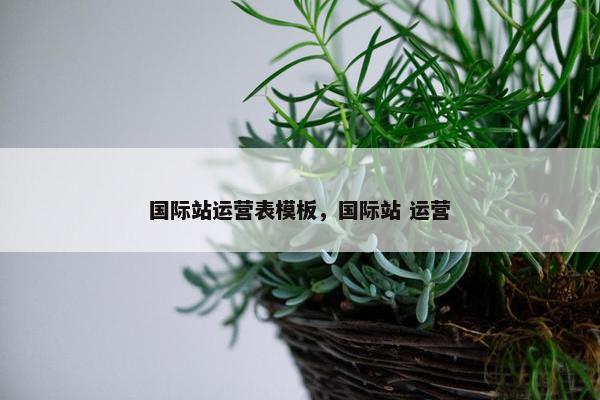 国际站运营表模板，国际站 运营