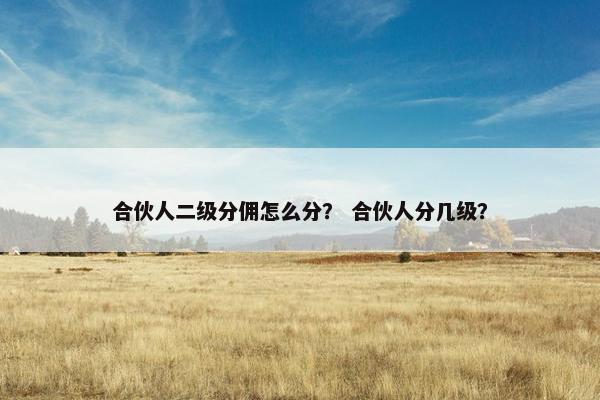 合伙人二级分佣怎么分？ 合伙人分几级？