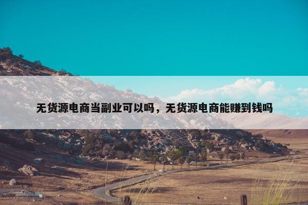 无货源电商当副业可以吗，无货源电商能赚到钱吗
