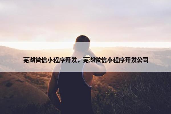 芜湖微信小程序开发，芜湖微信小程序开发公司