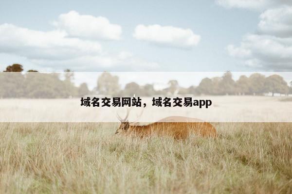 域名交易网站，域名交易app