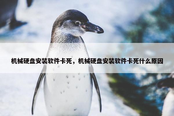 机械硬盘安装软件卡死，机械硬盘安装软件卡死什么原因