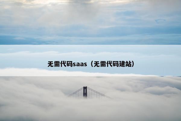 无需代码saas（无需代码建站）